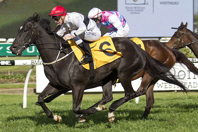 Golden Pendant winner Peeping heads a list of 19 entries for the Group 3 Angst Stakes at Randwick on Saturday.