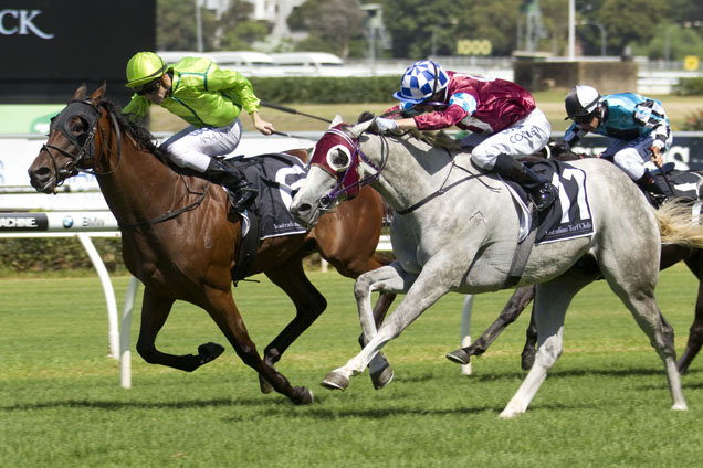 Phrases winning the Randwick City Stakes