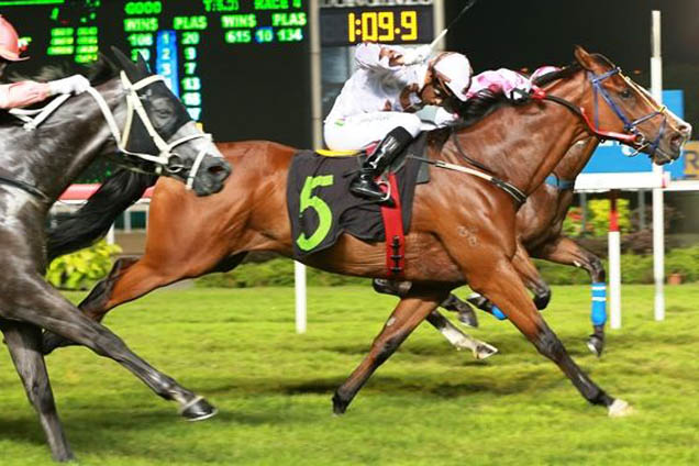 Pint Sized Prince winning the SUPER EASY 2012 STAKES CLASS 4