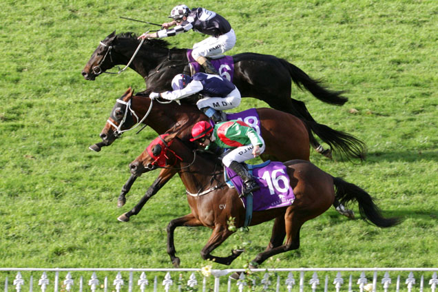 Pondarosa Miss (outer, Vespa middle, Kawi inner) winning the Manco Easter Hcp.