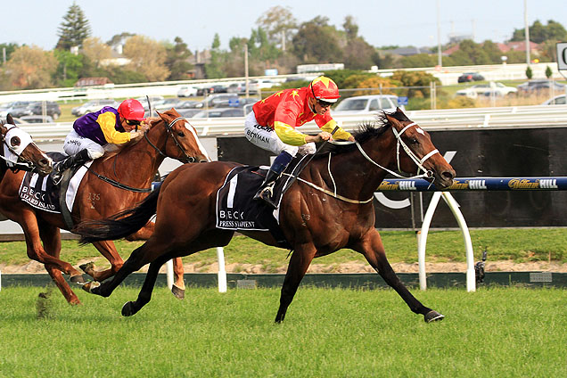 Press Statement a cut above at Caulfield