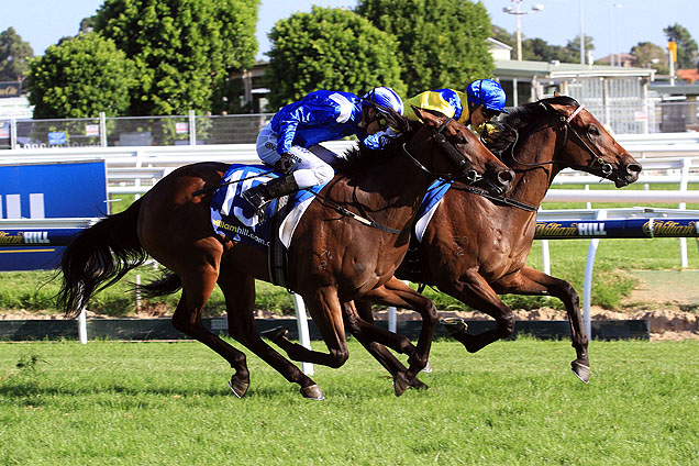 Pride Of Dubai winning the William Hill Blue Diamond Stks