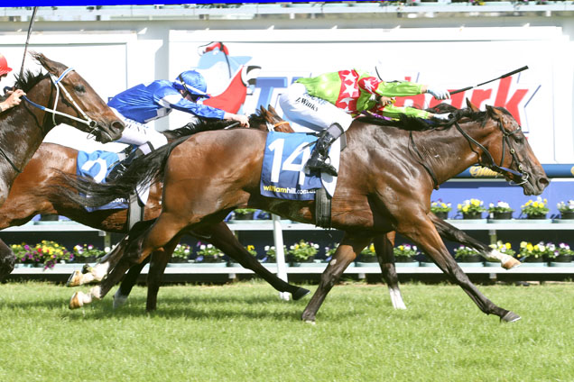 A procession for the Prince at Flemington?