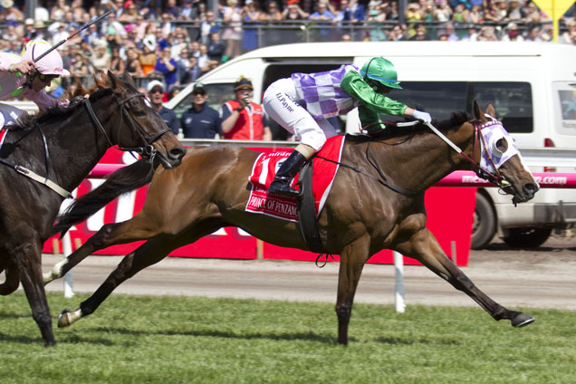 Prince Of Penzance winning the Emirates Melbourne Cup