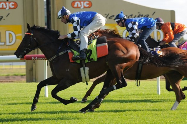 Protectionist winning the Newcastle Barrier trial