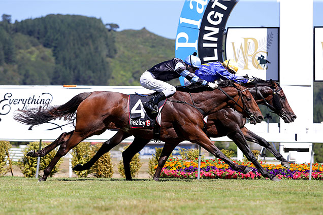 Puccini winning the Harcourts Thorndon Mile