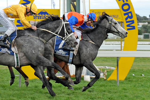 Queen Of Navarre winning the Wanganui Steelformers (Bm75)