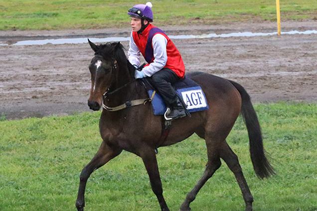 Ragnaar winning the Lois Ballantyne Memorial Mdn