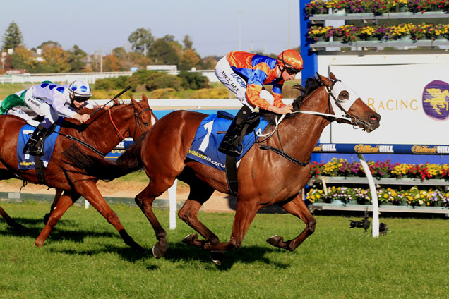 Red Bomber will be charging home at Ballarat