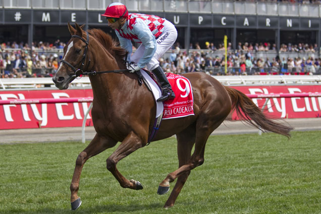 Red Cadeaux has been humanely euthanased after suffering complications from the injury sustained in the Melbourne Cup.