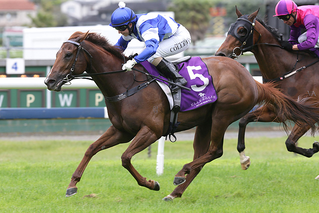 Red Striker winning the Jr Webb & Son (Bm85)