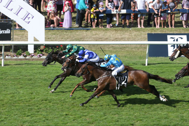 Red Striker(Blue Cap) winning the Hallmark Stud Newmarket Hcp