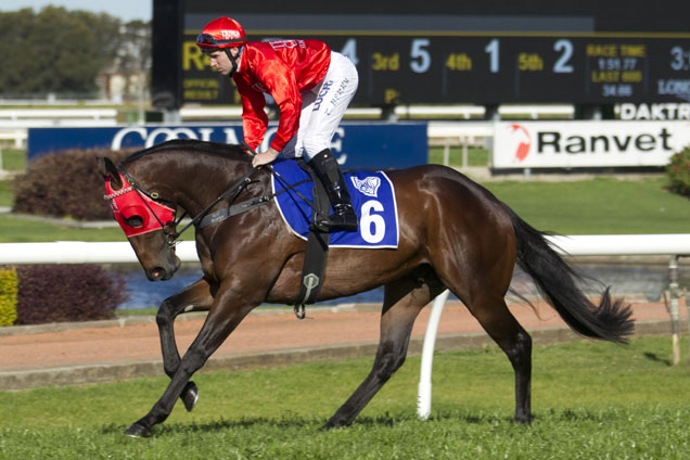 Redzel