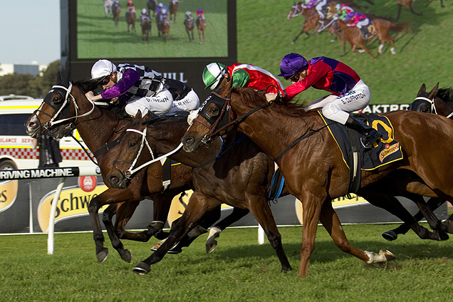 Reigning (centre) wins narrowly at Rosehill