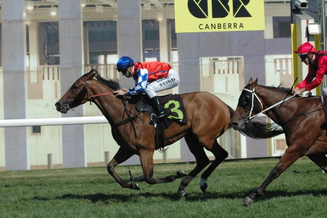 Rom Baro winning the Canberra Guineas