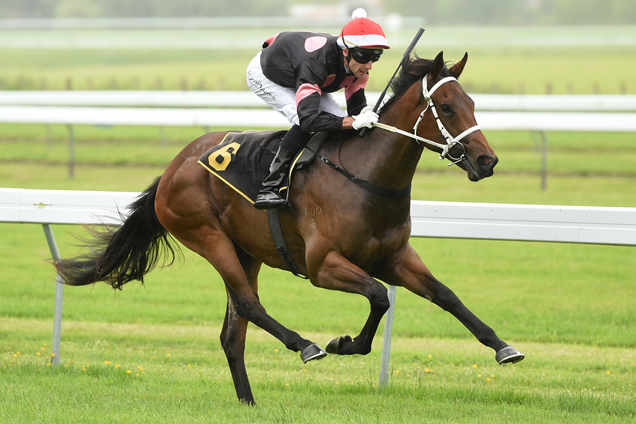 Ronda winning the Courtesy Ford 2yo