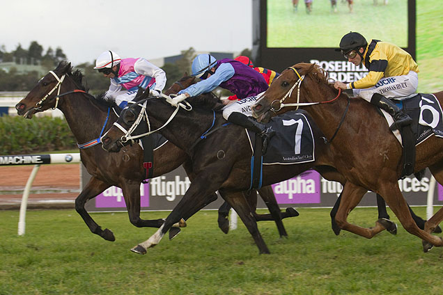 Rugged Cross winning the Sydney Markets Ltd Winter Stks