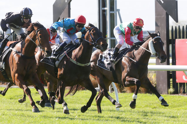 Ryan Mark winning the Lochinver Station Arawa Stakes