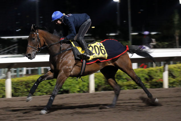 The Tony Millard-trained LONGINES Hong Kong Sprint runner Strathmore gallops on Sha Tins all-weather track on Monday morning