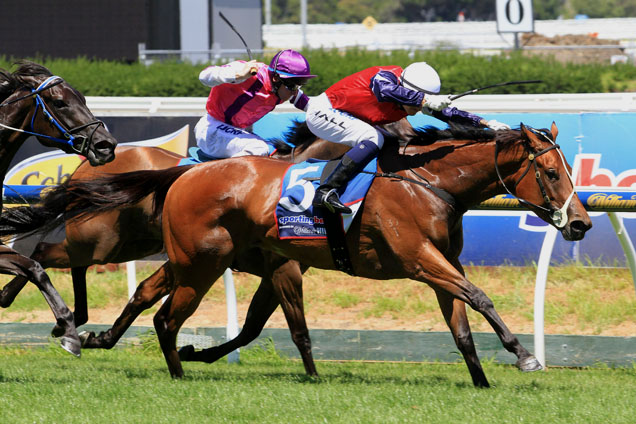 Sabatini winning the Kevin Hayes Stakes