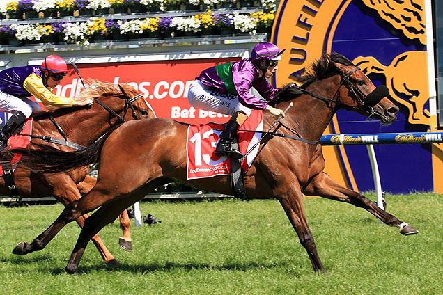 Sacred Eye winning the Caulfield Classic