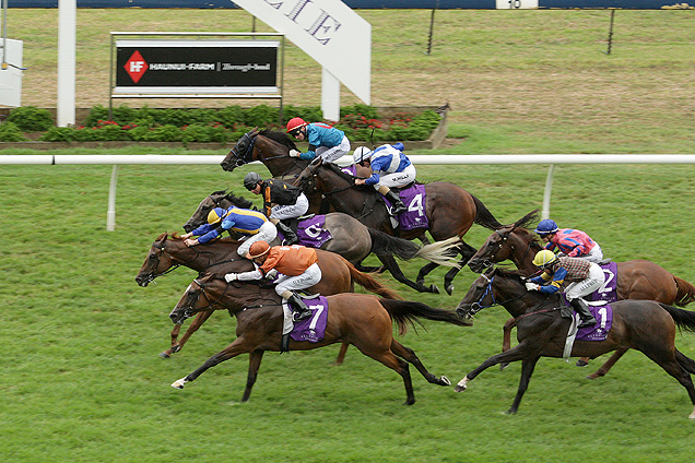 Sakhee'Soldier winning the Ronald McDonald House N.Z.Stks