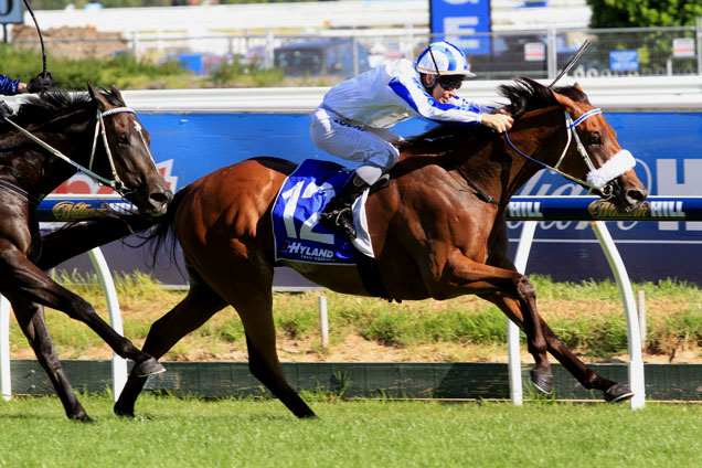 San Nicasio winning the Hyland Colours Autumn Stakes