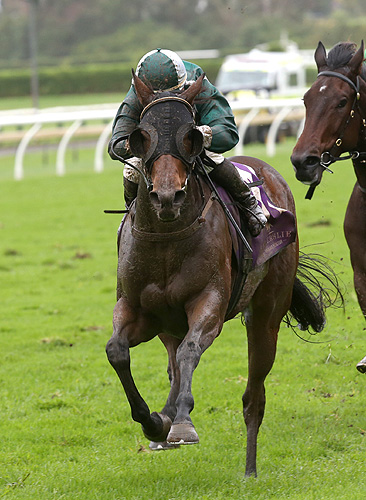 Secret Spirit winning the G.Thomson Great Nthn Foal Stks