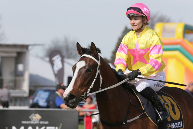 Serious Satire parading on 29 Aug, 2015 after winning Www.Vermairracing.Co.Nz 3yo