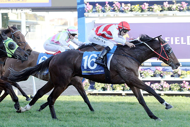 Setinum winning the Winslow Grp Regal Roller Stks