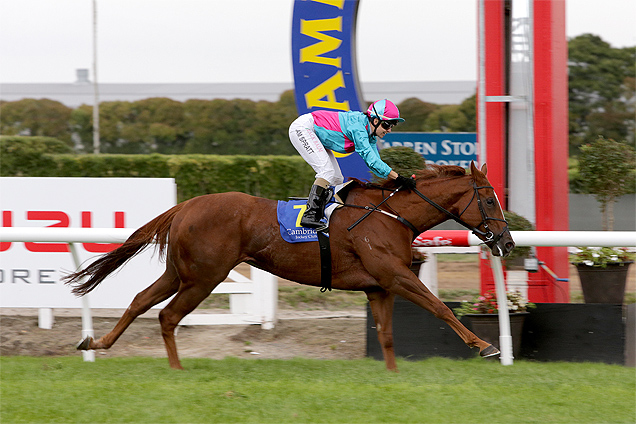 Shees Flawless winning the Inglis Cambridge Breeders Stks