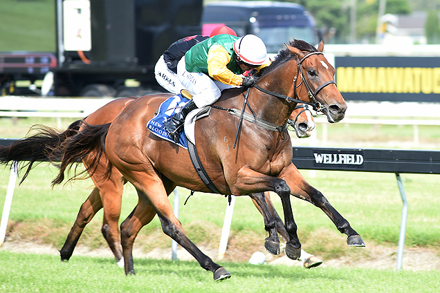 新西兰五岁雌马将告别前驯马师组合史蒂芬奥特里奇和杰米里查德,加入