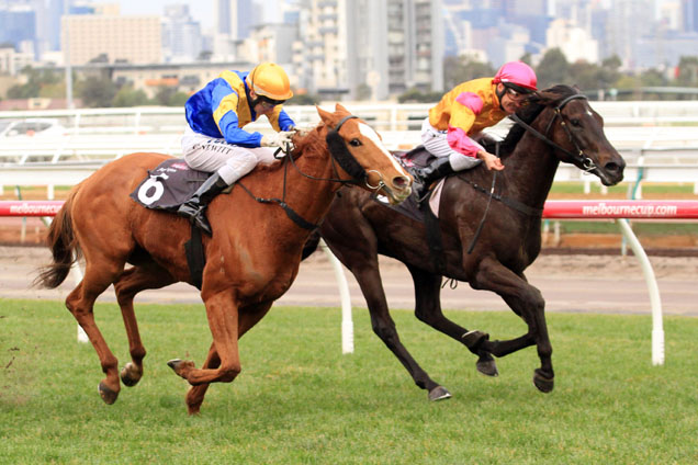 Shiraz winning the Aurie's Star