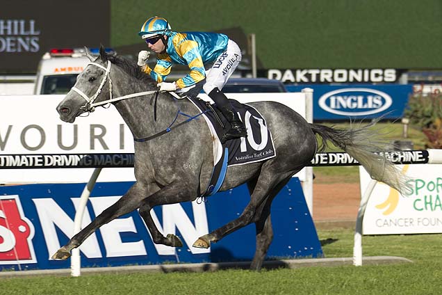 Silverball is topweight for Saturday's Kingston Town Stakes at Rosehill.