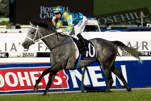 Silverball looks value in Sydney