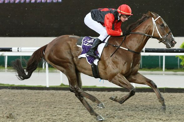 Slew Of Lode winning the MARSILING CLASSIC STAKES