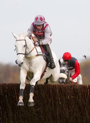Smad Place
