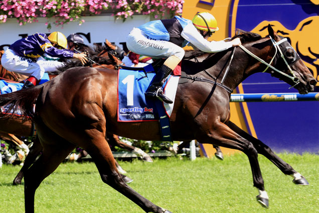 Smokin' Joey winning the Herald Sun Carlyon Cup.