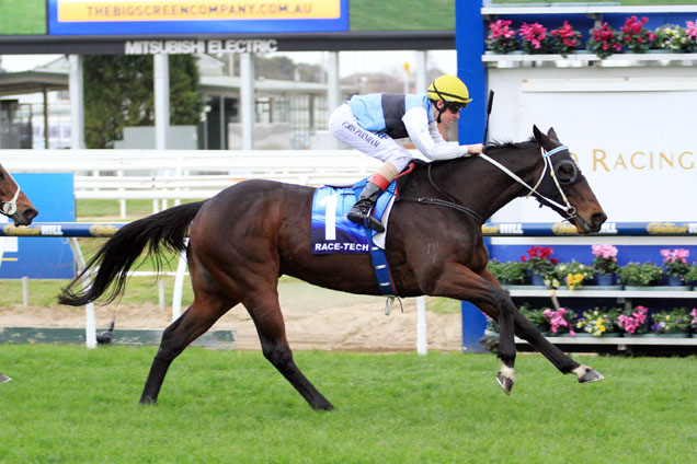 Smokin' Joey winning the Race-Tech Aust. Bletchingly