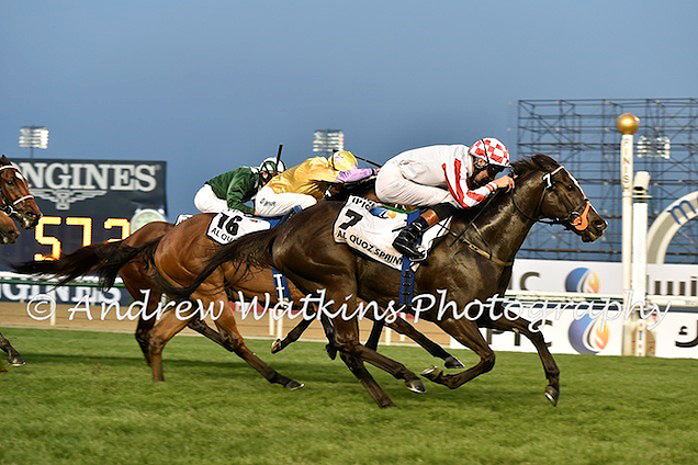 Sole Power winning the Al Quoz Sprint Empowered By IPIC