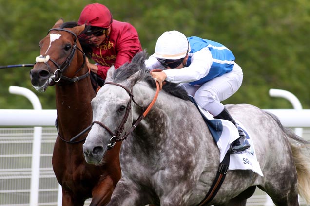 Solow Lands The Sussex