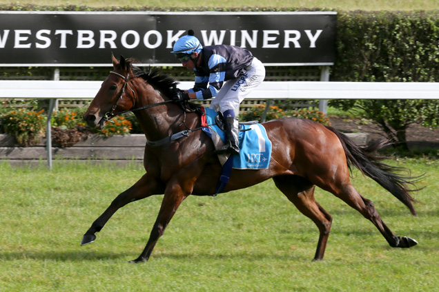 Soriano winning the Auckland T'bred Breeders Stks