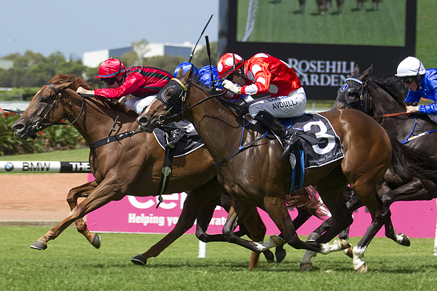 Speak Fondly winning the Magic Night Stakes