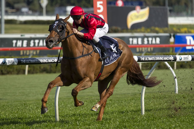 Speak Fondly is entered to resume in Saturday's Hyland Race Colours Challenge Stakes at Randwick.