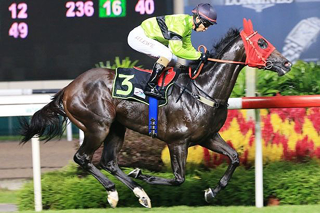 Special Id winning the TRUDEAU 2013 STAKES INITIATION