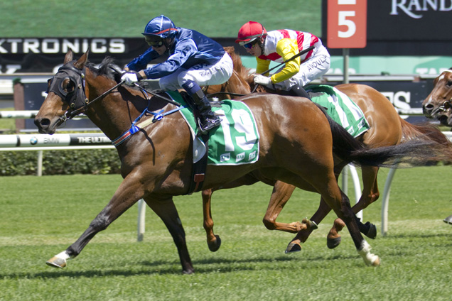 Star Shaft Wins At Randwick