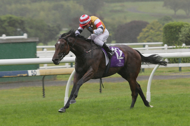 Stolen Dance winning the Eagle Technology Stakes