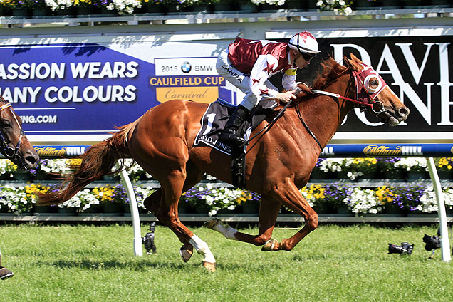 Stratum Star winning the David Jones Cup