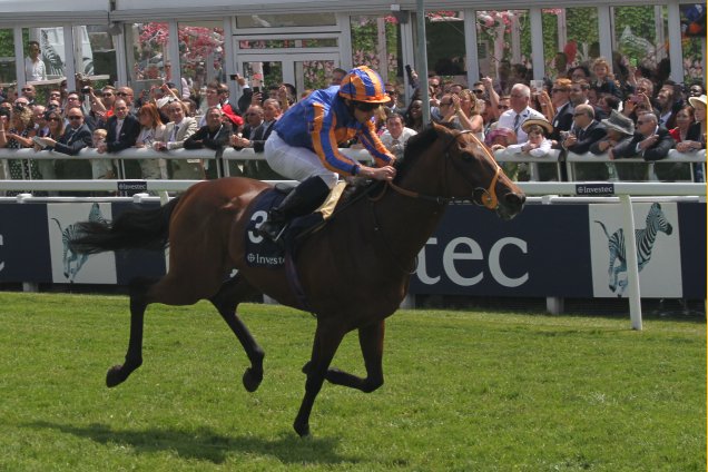 Stravagante winning the Investec Private Banking Handicap