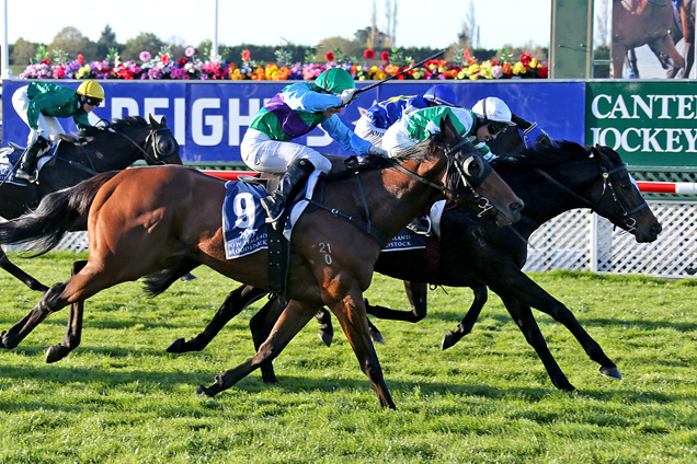 Sucre winning the Speight's Ale Gt Easter Stakes